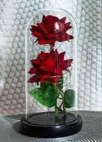 10CMX25CM 2 ROSES LANTERN   (QTY/CTN 24.00  PCS)